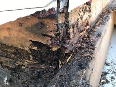 Professional water damage restoration services in Sacaton, AZ - Jet Water Restoration
